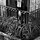 Filename=Fashion_story_in_Sicily_Bellucci_1997_038.jpg
Filesize=206KiB
Dimensions=469x704
Date added=Feb 21, 2015 Fashion_story_in_Sicily_Bellucci_1997_038.jpg