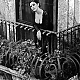 Filename=Fashion_story_in_Sicily_Bellucci_1997_039.jpg
Filesize=193KiB
Dimensions=426x650
Date added=Feb 21, 2015 Fashion_story_in_Sicily_Bellucci_1997_039.jpg
