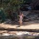 Filename=On_the_Milky_Road_28201529_28.jpg
Filesize=87KiB
Dimensions=630x429
Date added=Feb 07, 2015 On_the_Milky_Road_28201529_28.jpg