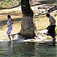 Filename=On_the_Milky_Road_28201529_31.jpg
Filesize=82KiB
Dimensions=630x429
Date added=Feb 07, 2015 On_the_Milky_Road_28201529_31.jpg