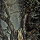 Filename=On_the_Milky_Road_Monica_Bellucci_2016_01.jpg
Filesize=326KiB
Dimensions=533x800
Date added=Apr 23, 2017 On_the_Milky_Road_Monica_Bellucci_2016_01.jpg