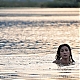 Filename=On_the_milky_road_Monica_Bellucci_66.jpg
Filesize=405KiB
Dimensions=1072x712
Date added=Apr 13, 2017 On_the_milky_road_Monica_Bellucci_66.jpg