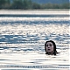 On_the_milky_road_Monica_Bellucci_65.jpg